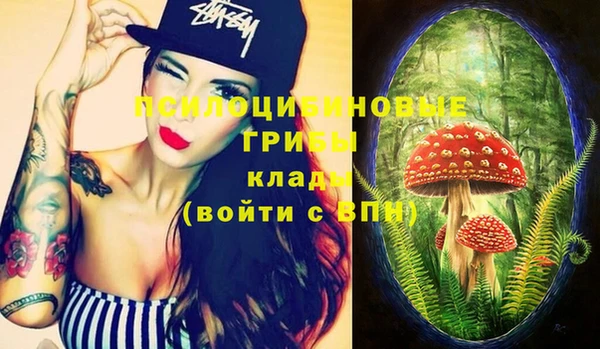 тгк Аркадак