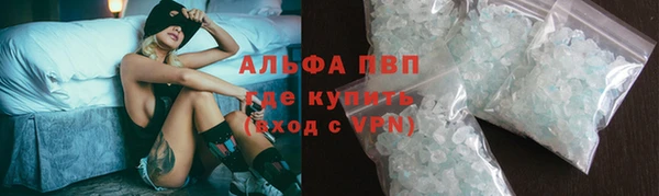 стаф Арсеньев
