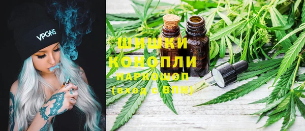 стаф Арсеньев
