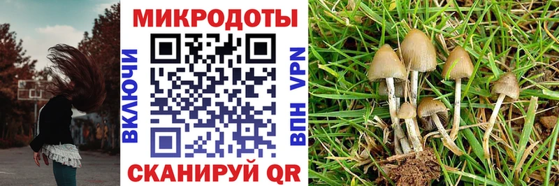 Галлюциногенные грибы мухоморы дарнет шоп Туринск